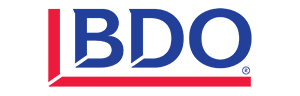 BDO Government Services